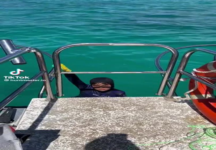 حمله کوسه به کودک در دریا