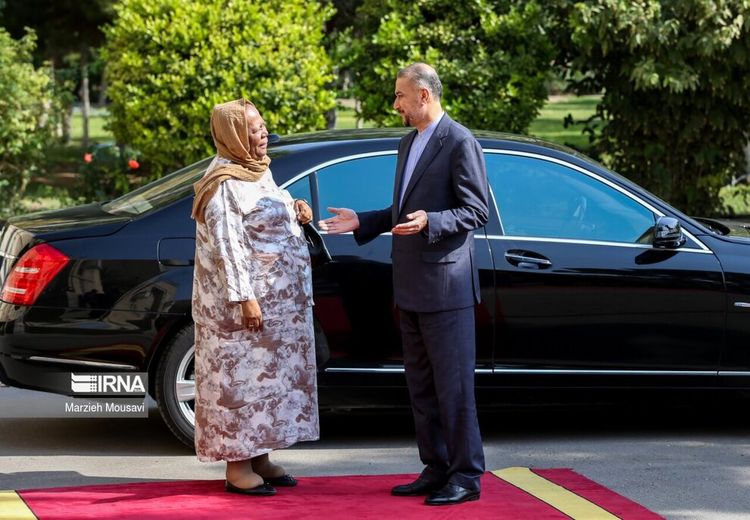 حجاب خانم وزیر خارجه آفریقای جنوبی در سفر به تهران