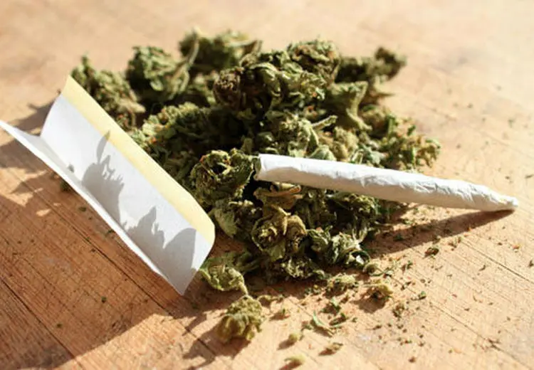 قدرت مخرب‌ ماده اعتیادآور «گل» در ایران/ ممنوعیت مصرف گل در بسیاری از کشورهای پیشرفته دنیا