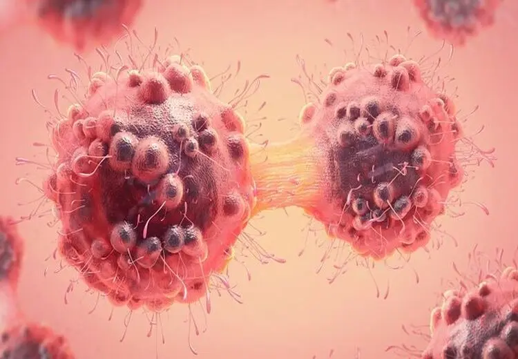 استفاده از آنتی‌بادی‌های یک نوع شتر برای مقابله با سرطان