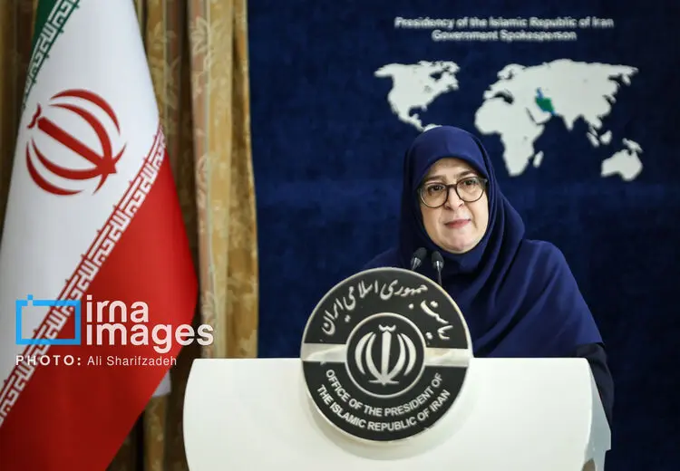 جنجال میزان حقوق خانم سخنگوی دولت