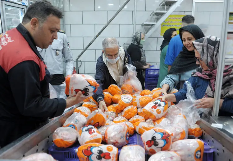  کاهش ۷۰ هزار تومانی قیمت مرغ/ طلاکش: مردم مصرف نکردند، قیمت‌ها سقوط کرد