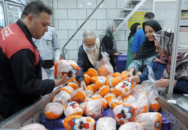  کاهش ۷۰ هزار تومانی قیمت مرغ/ طلاکش: مردم مصرف نکردند، قیمت‌ها سقوط کرد