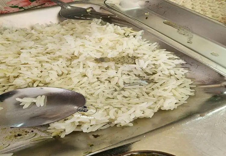 دیده شدن مارمولک در غذای یک دانشگاه + عکس