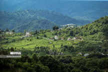 گاز ویلا‌های خالی از سکنه در مازندران قطع می‌شود