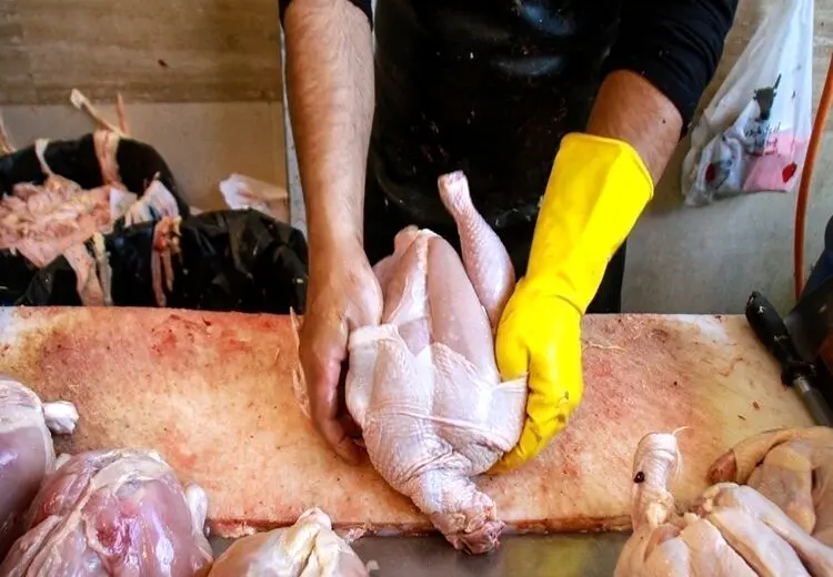 نیازی به توزیع گوشت و مرغ تنظیم بازاری نیست