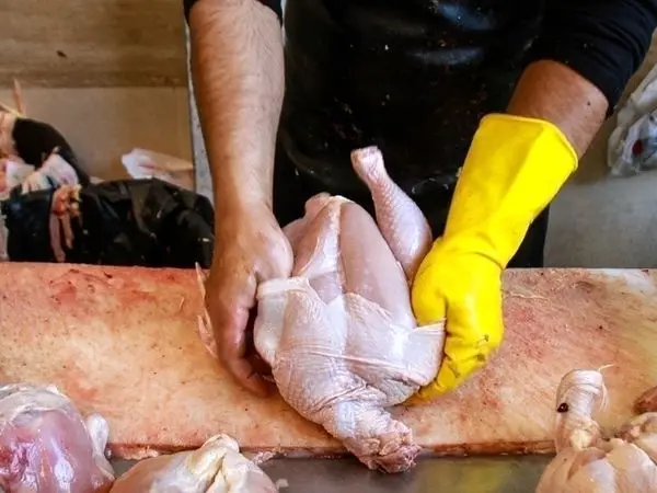 نیازی به توزیع گوشت و مرغ تنظیم بازاری نیست