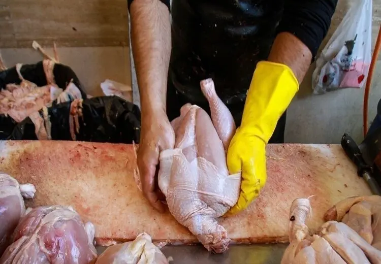 نیازی به توزیع گوشت و مرغ تنظیم بازاری نیست