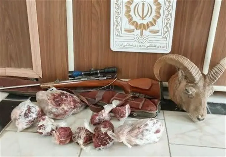"گوشت شکار ضبط شده از شکارچیان" به چه کسانی می‌‌رسد؟