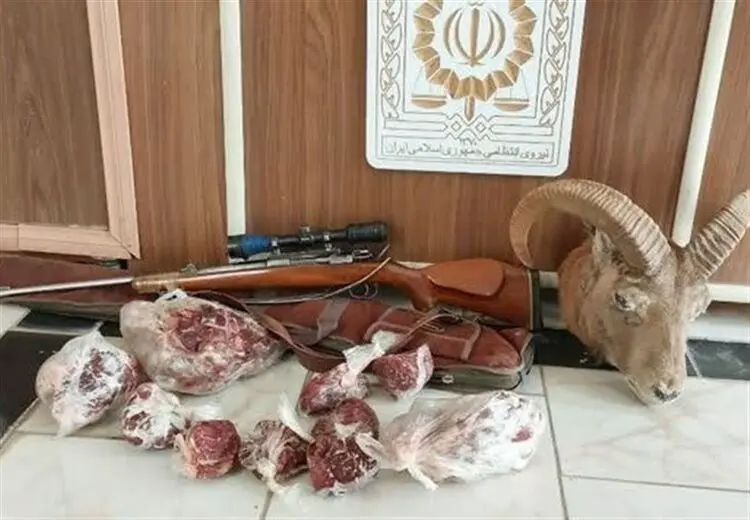 "گوشت شکار ضبط شده از شکارچیان" به چه کسانی می‌‌رسد؟
