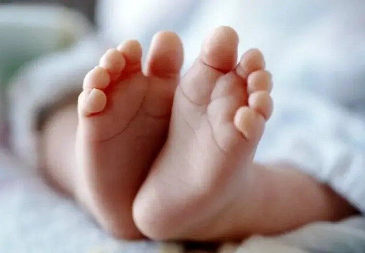 آمار تولد از آغاز جنگ تا ۱۵ فروردین ۱۴۰۵ اعلام شد