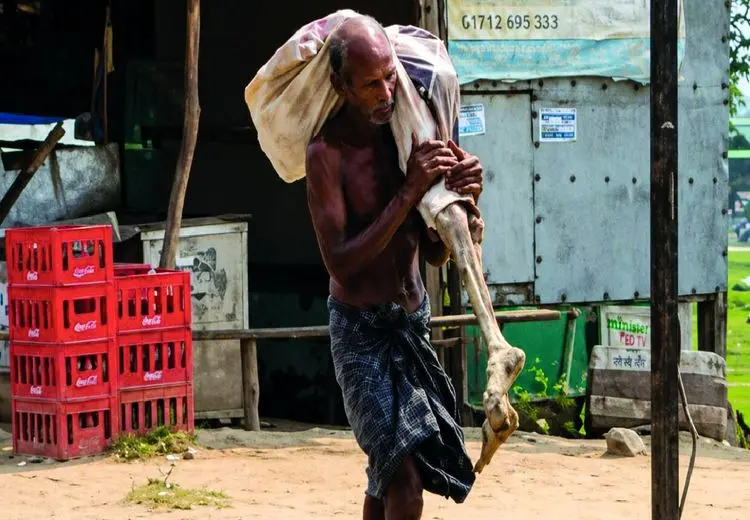 صحنه‌ای که هند را شوکه کرد/ برادر، جسد خواهرش را روی دوش به بانک برد

