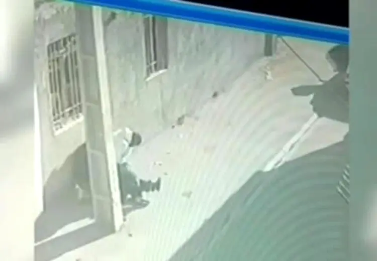 لحظه زورگیری وحشتناک از یک زن در شهریار