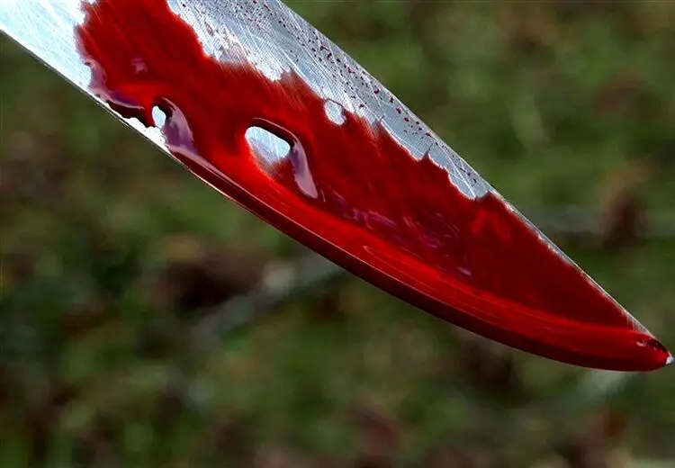 جوان ۱۸ ساله برادرش را کشت