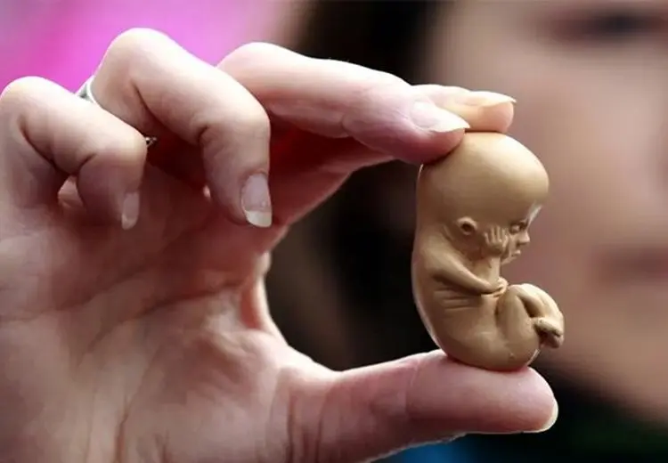 آمار سقط جنین در ایران چقدر است؟
