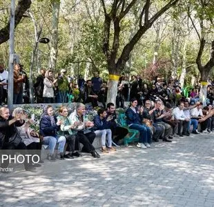 سیزه به‌در زیر سایه جنگ