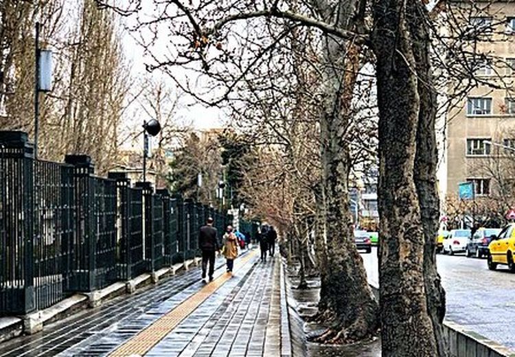 درخواست دانشگاه تهران؛ مستثنی کردن اراضی تملک شده از اراضی مردم