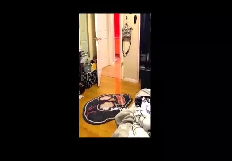 این سگ عاشق خانه‌داری است!