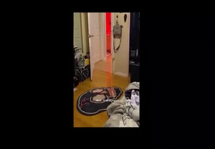 این سگ عاشق خانه‌داری است!
