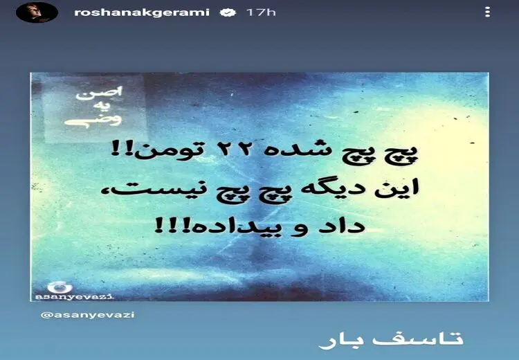 اعتراض متفاوت بازیگر زن به گرانی/ عکس