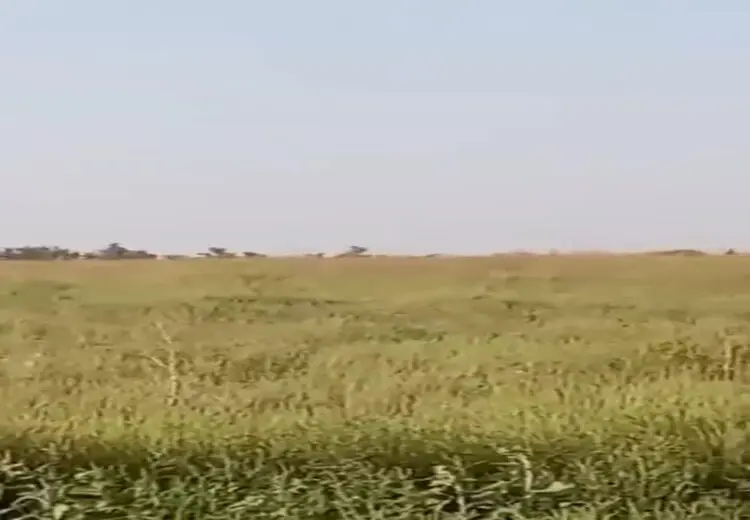 پودرشدن هلی‌کوپتر روسیه توسط موشک سوئدی ارتش اوکراین/ فیلم