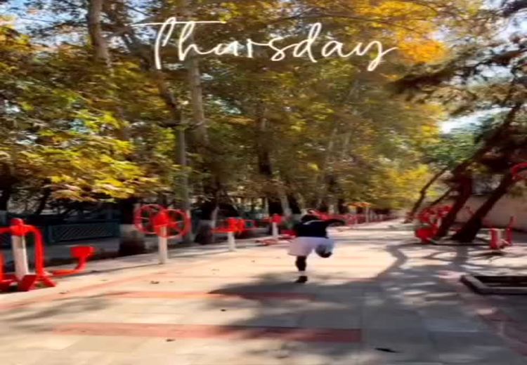 تمرین انفرادی رامین رضاییان در پارک