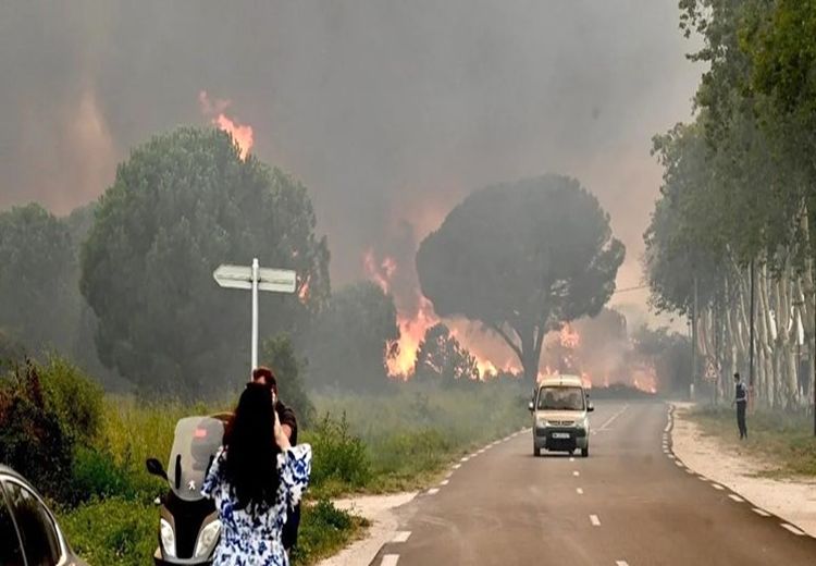 آتش سوزی جنگلی در فرانسه  
