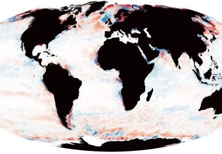 کشف بقایای زمین اولیه

