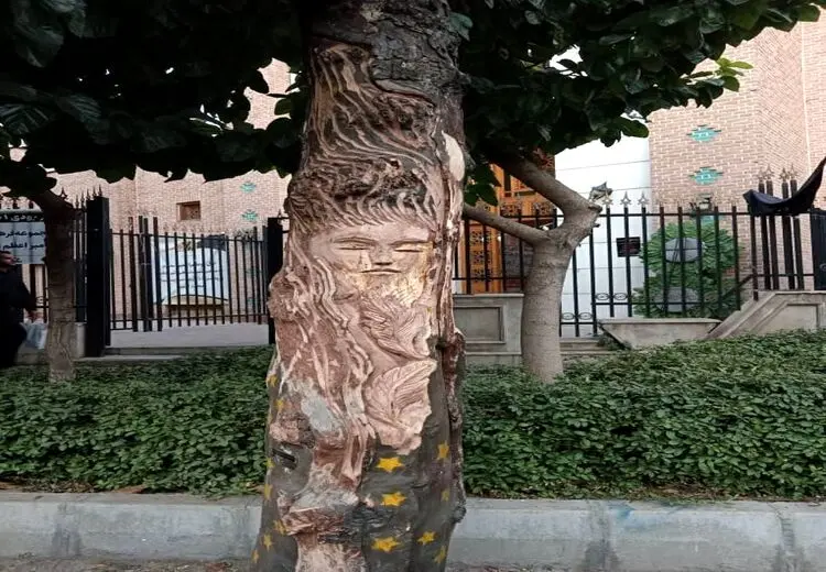 قطع درخت ارزشمند به خاطر نقش یک زن روی آن!