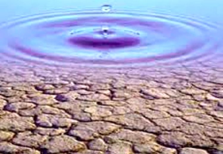 هشدار نسبت به وضعیت آب؛ بیش از ۵۰ شهر در تنش آبی قرار دارند