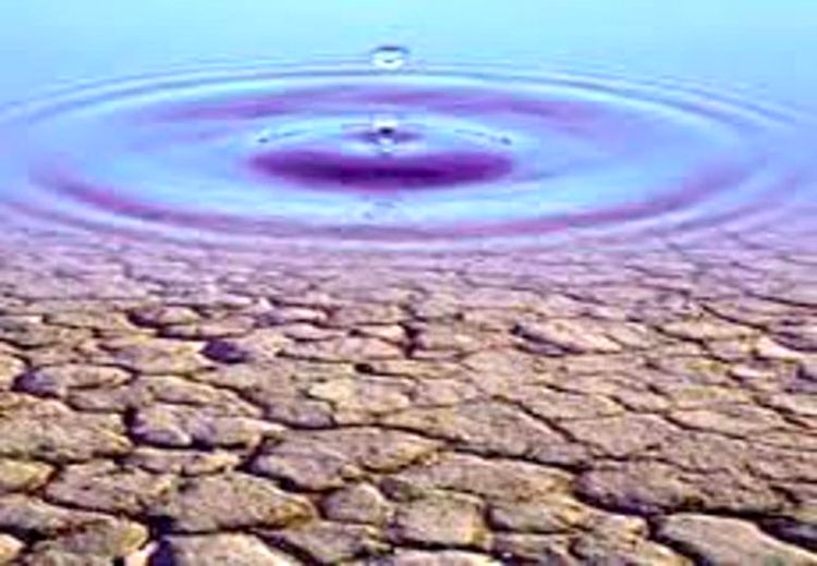 هشدار نسبت به وضعیت آب؛ بیش از ۵۰ شهر در تنش آبی قرار دارند