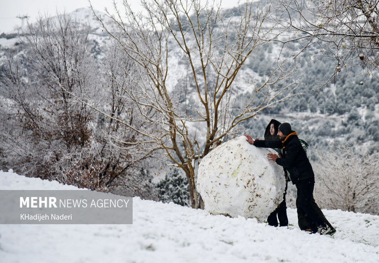 تصویر ناسا از بارش برف در ایران