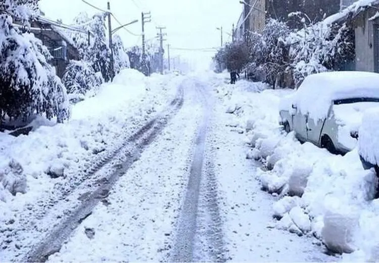 بارش برف این استان را سفید پوش کرد