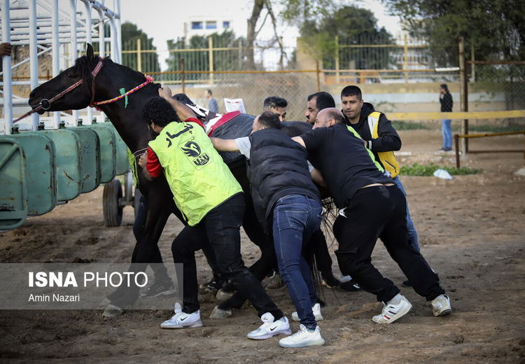 تصاویری از تماشای مسابقات اسبدوانی در موقعیت های عجیب!