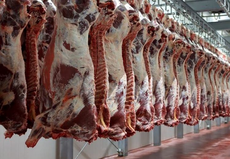 عرضه گوشت قرمز در کشتارگاه‌ها کاهش یافت!