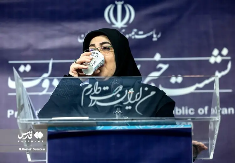 سخنگوی دولت: لغو کنسرت همایون شجریان خارج از اراده دولت بود!