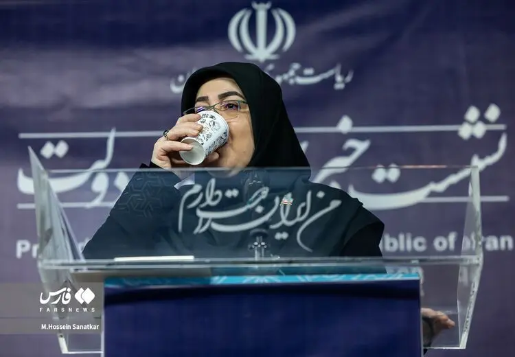 سخنگوی دولت: لغو کنسرت همایون شجریان خارج از اراده دولت بود!