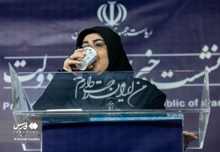 سخنگوی دولت: لغو کنسرت همایون شجریان خارج از اراده دولت بود!