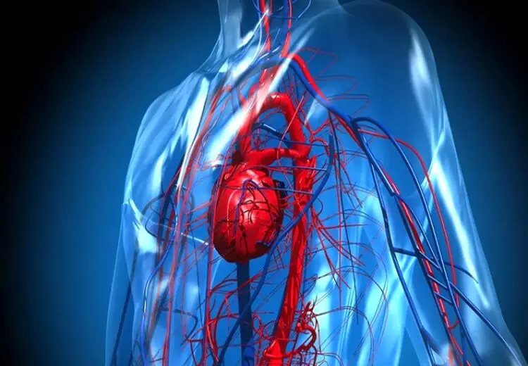 چرا رگ‌های بدن آبی دیده می‌شوند؟
