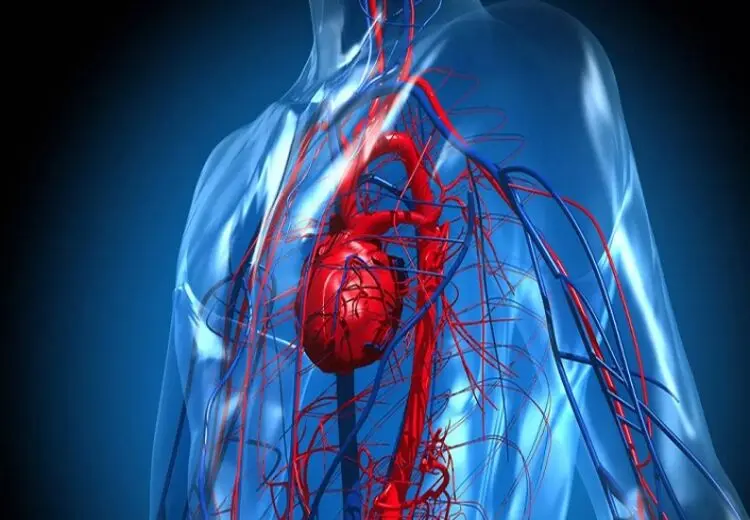 چرا رگ‌های بدن آبی دیده می‌شوند؟