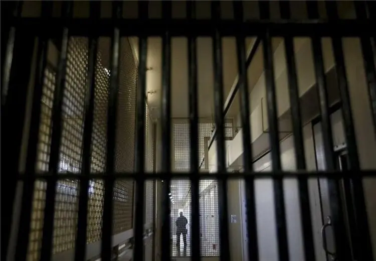 ۴ ماه حبس برای یک قصاب به دلیل کشتار۳ گوسفند!