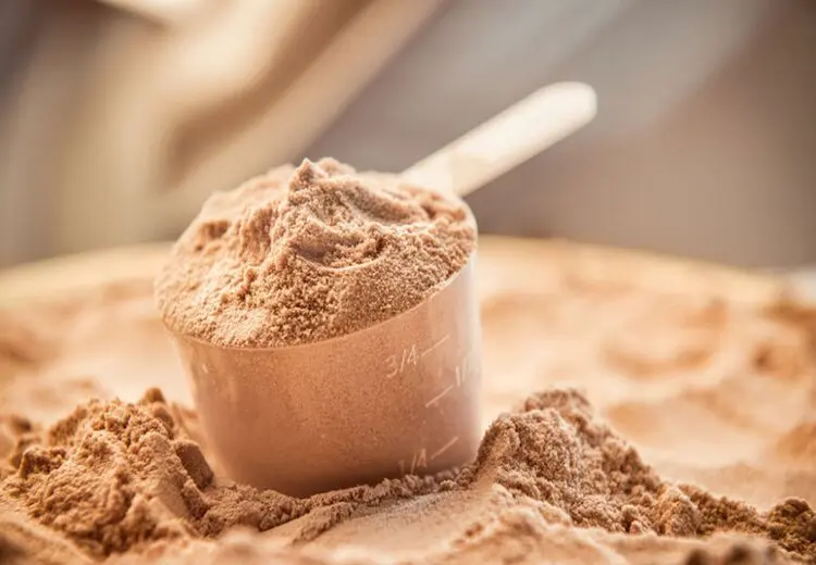 همه چیز درباره پودر پروتئین