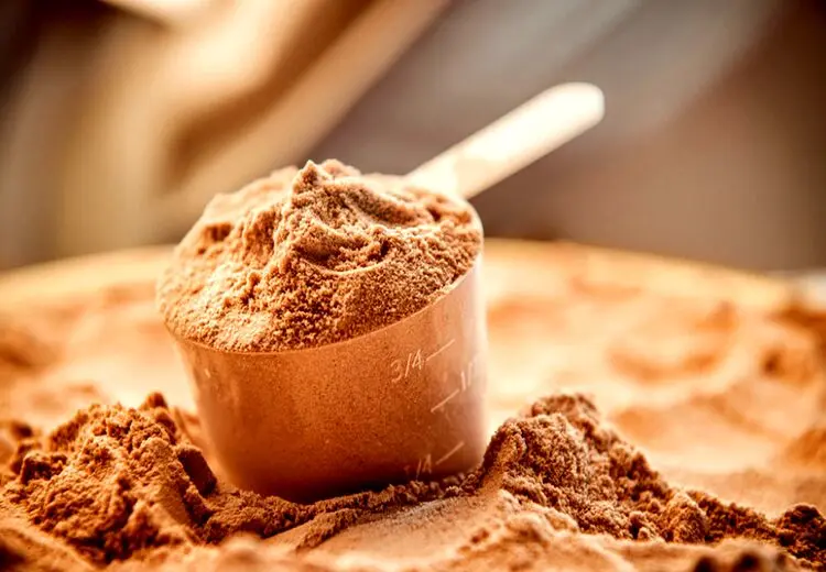 همه چیز درباره پودر پروتئین
