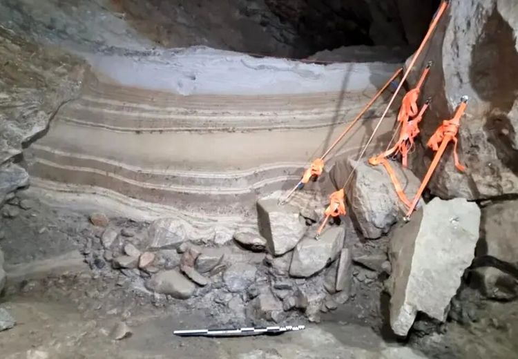 کشف بقایای جانوران عصر یخبندان در یک غار + عکس
