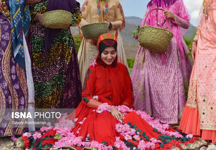 گل و گلاب و دختران میمندی