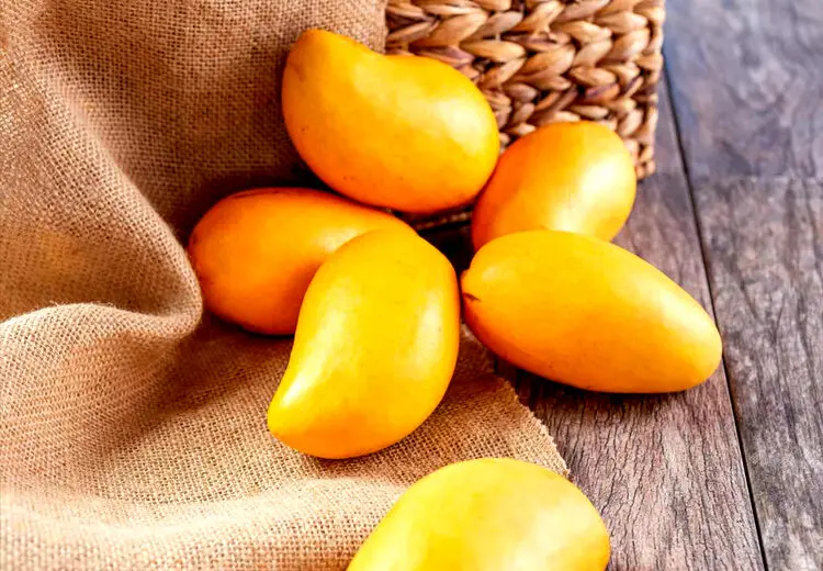فواید باورنکردنی انبه