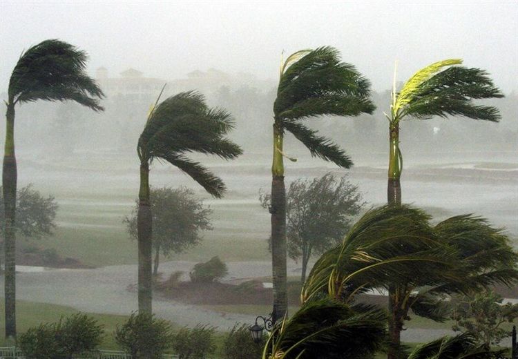 هشدار هواشناسی به ۵ استان ساحلی

