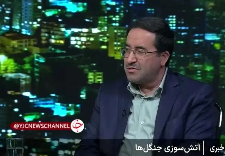  واکنش عجیب رئیس سازمان منابع طبیعی به سوال درباره خسارت آتش‌سوزی جنگل الیت