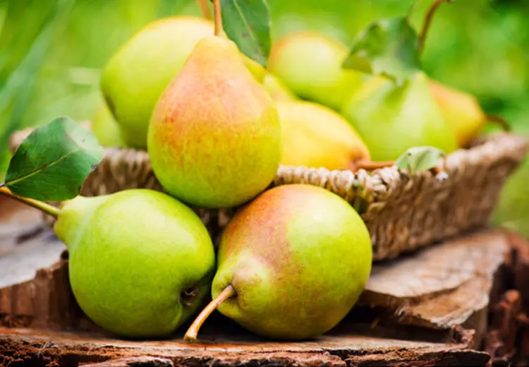 گلابی در طب سنتی