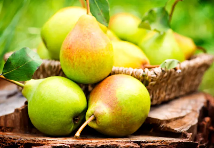 گلابی در طب سنتی